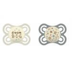 Lot de 2 sucettes perfect nuit 2-6 mois Mam